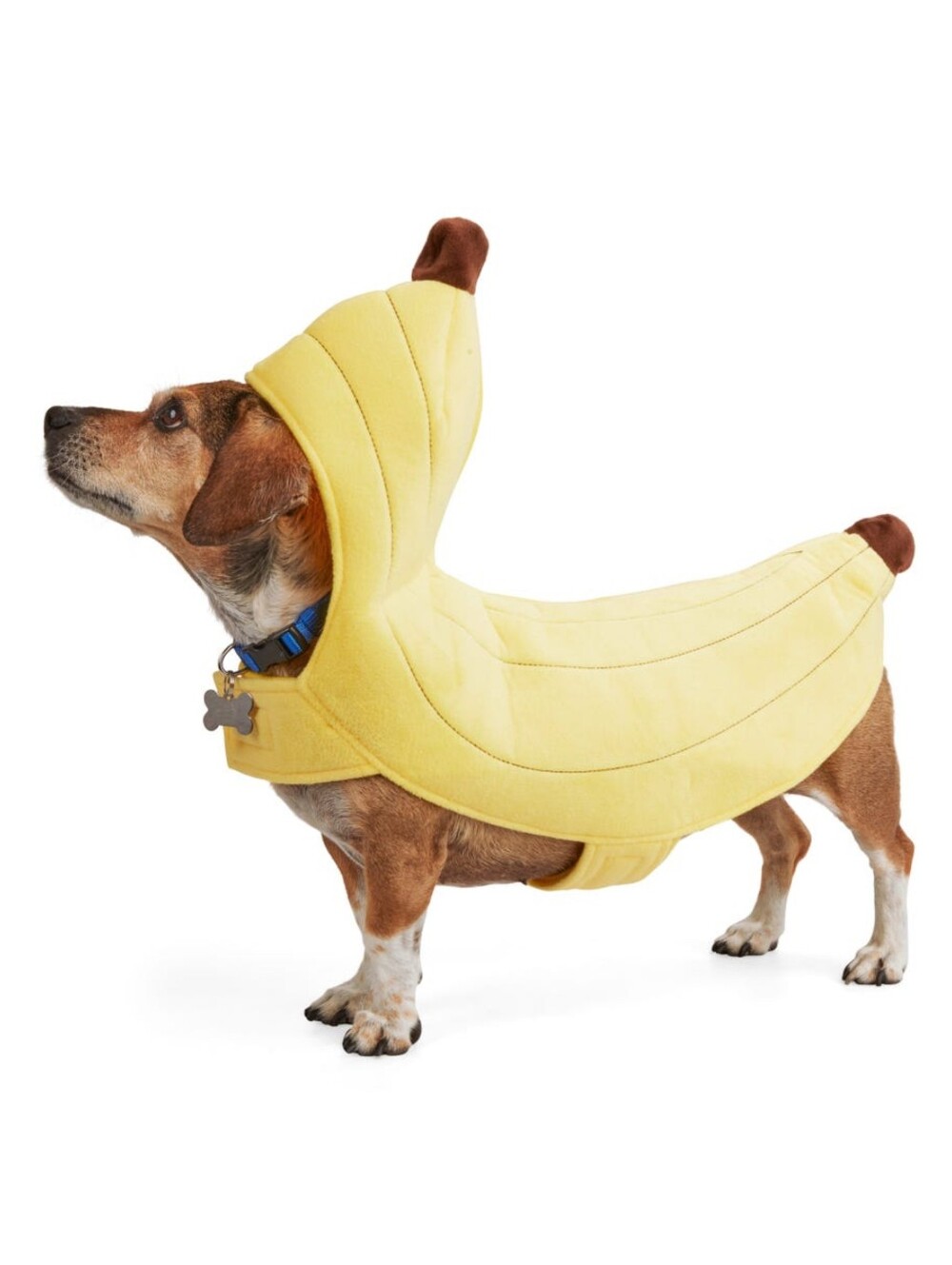 🤎💛 PetCo Bootique Banana Pet Costume Dog Cat Medium Halloween